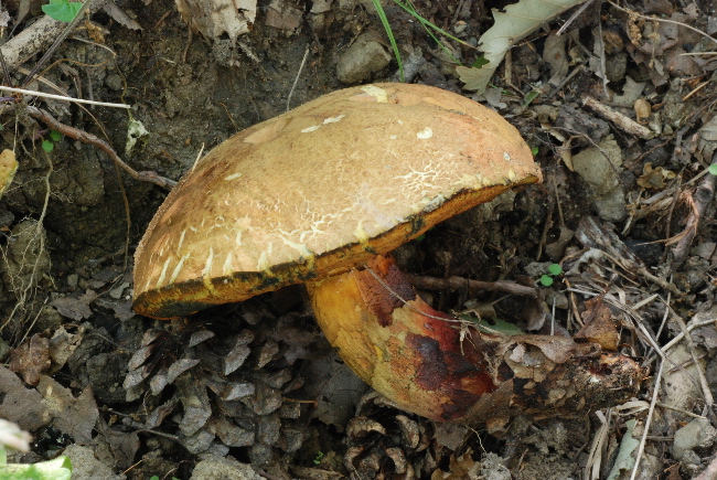 Uscita del 18 Cima di Tuoro (PG)